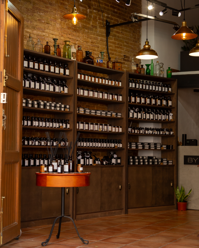 Franchising BY VELCHEVA