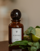 Photo LIME BASIL -  Interior perfume