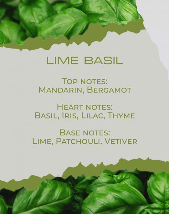 Foto LIME BASIL - Vela perfumada