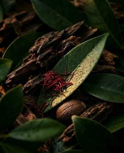 Extrait de Parfum - Singapore