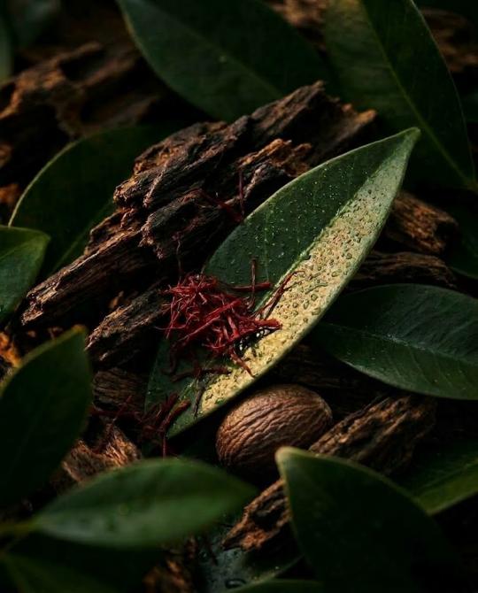 Foto Extrait de Parfum - Singapore