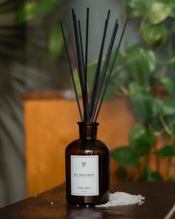 SALTY WATER - Reed diffuser
