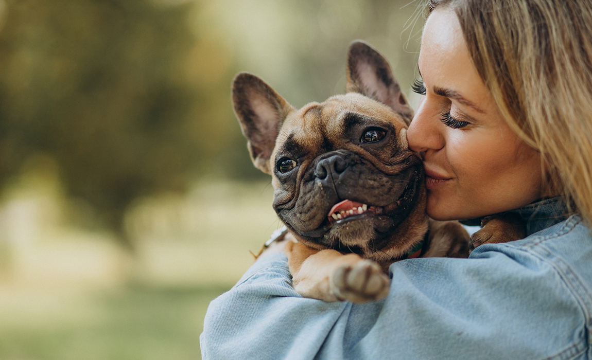 ¿Cómo puedo ser el mejor amigo de tu perro?