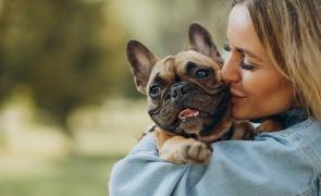 ¿Cómo puedo ser el mejor amigo de tu perro?