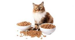 Pienso para gatos