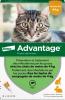Foto ADVANTAGE Pipetas antipulgas para gatos y conejos