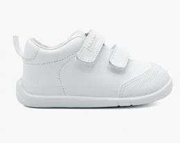 B500 ORSO blanco