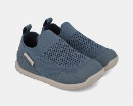 BIO164-01-BGcalcein básico azul de Biomecanics-copy94207