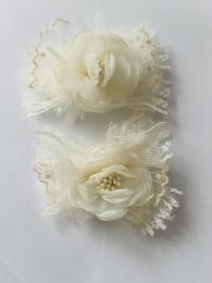 modelo magnolia