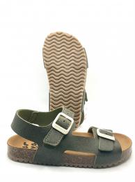 BIO KAKI DE GARVALIN