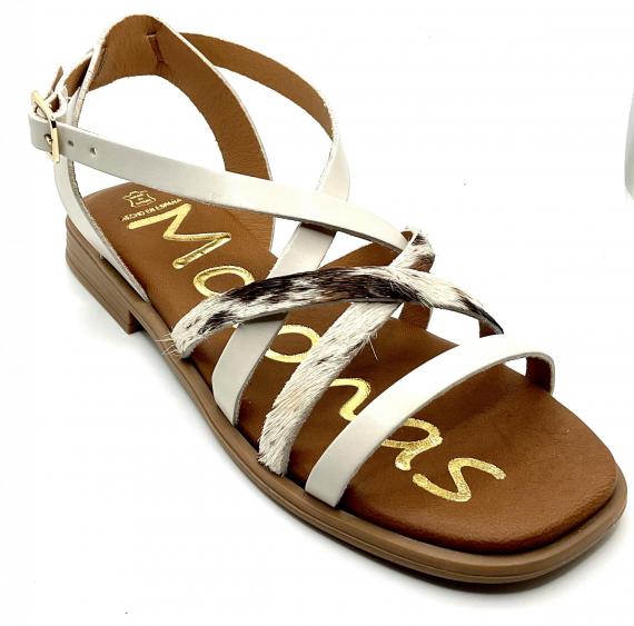 Foto Tequila / potro hielo