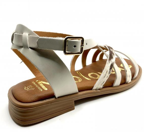 Foto Tequila / potro hielo