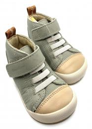 Boston eucalipto de blanditos