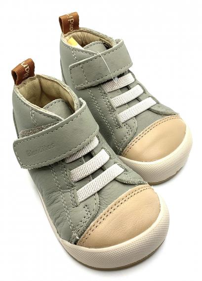 Foto Boston eucalipto de blanditos