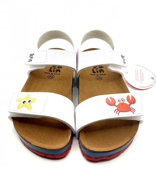 Foto BIO estrella - cangrejo GARVALIN