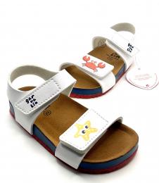 BIO estrella - cangrejo GARVALIN