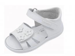 670 RAMO BLABCO TITANITOS