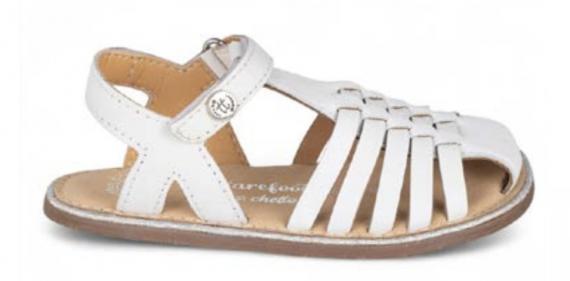 Foto 1126015 cangrejera blanca CHETTO