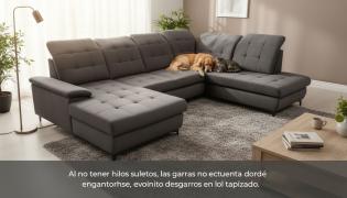 How to Choose the Perfect Sofa If You Have Pets: A Complete Guide