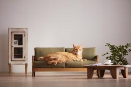 ¿Qué sofá elegir si tienes un gato?