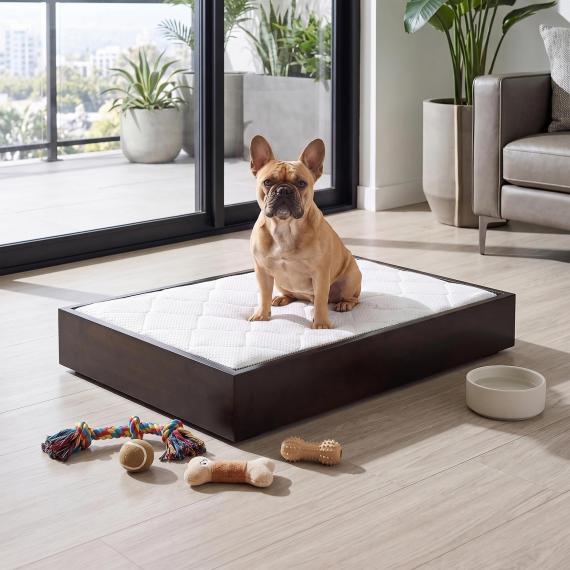 Photo PET BED WOODY