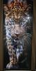 Foto Placa decorativas en PVC - leopardo