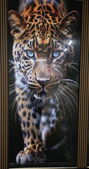 Foto Placa decorativas en PVC - leopardo