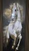 Foto Placa decorativas en PVC - caballo