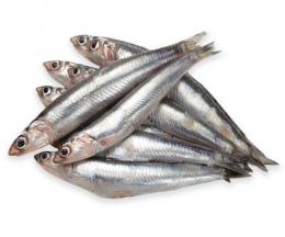 BOQUERON ENTERO MEDITERRANEO 40/45 ,1X4