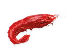 BRILLANTE Nº2 DIMAROSA 12/16 PZA.