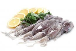 CALAMAR PATAGONICO N4 10/12 CM.