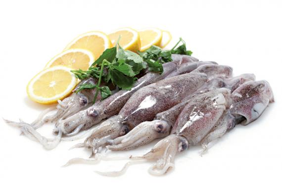 Foto CALAMAR PATAGONICO N4 10/12 CM.