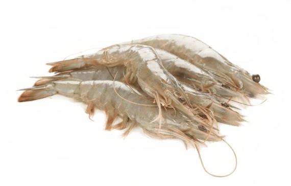 Foto LANGOSTINO COLA VANNAMEI 36/40,Caja 20 kg..