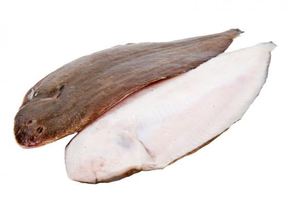 Foto LENGUADO TIGRE 300/400,Caja 5 kg.