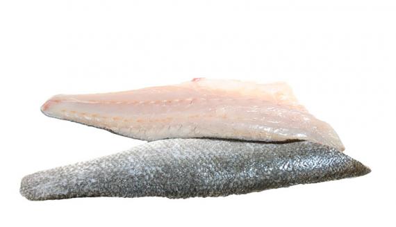 Foto LUBINA FILETE C/P 120/160 ,Caja 5 kg.