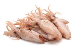 PUNTILLA VIETNAM S/P 3-6CM 6X1