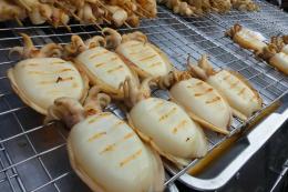 SEPIA INDIA LIMPIA EXKIMO IQF 2/4 1X6 KG.