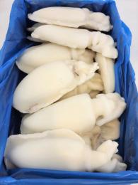 SEPIA LIMPIA IQF 2/4 INDIA.Caja 6 kg.