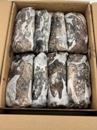 SEPIA SUCIA (M) Y (G) MARRUECOS.Caja 6 kg.