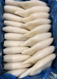 TUBO POTA GIGAS INT.200/400 MB INT,Caja 5 kg.