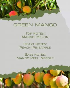 GREEN MANGO - Διαχυτήρας