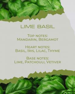 LIME BASIL - Διαχυτήρας