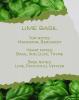 Φωτογραφία LIME BASIL - Αρωματικό κερί