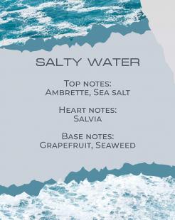 SALTY WATER - Διαχυτήρας