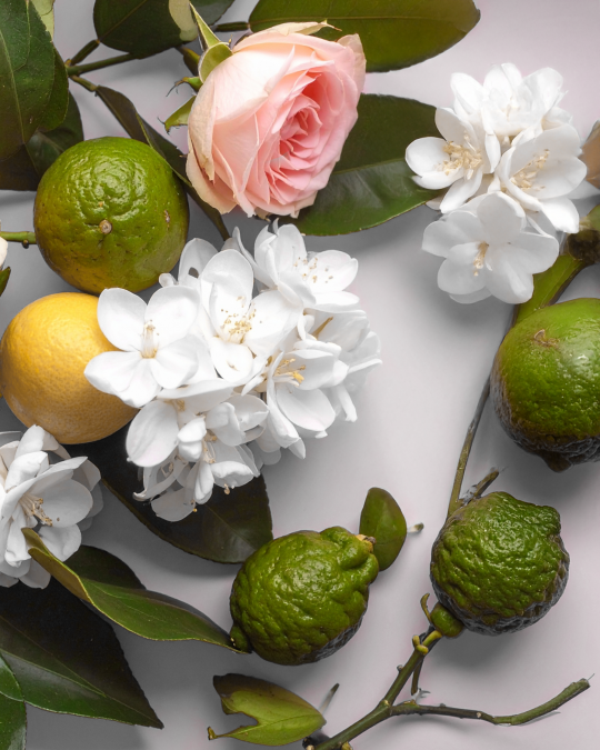 Fotó CAROLINA - Textilparfüm