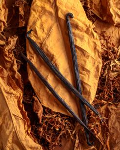 TOBACCO VANILLA - Illatgyertya