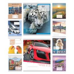 Cuaderno escolar 24 hojas, línea Tetrad 94365