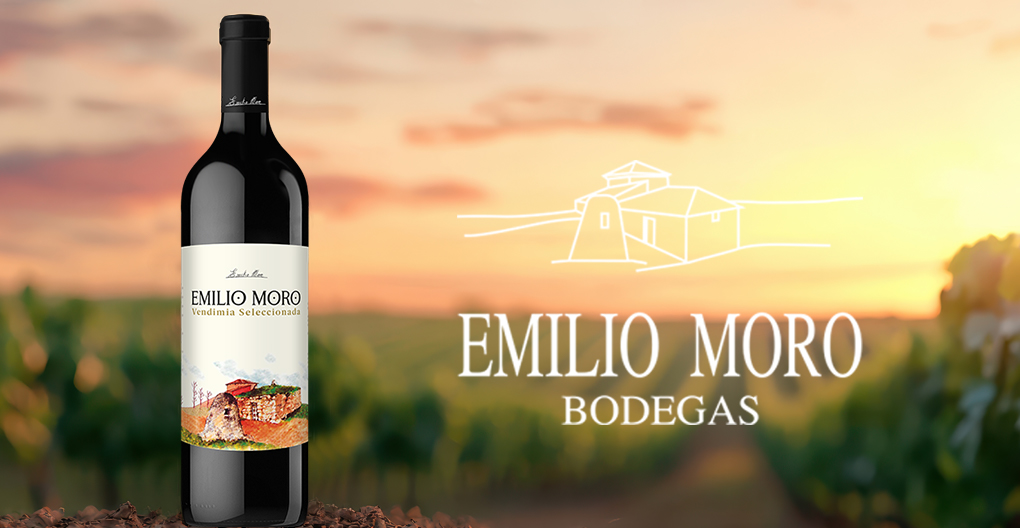Vendimia Seleccionada – Die Seele Spaniens in einer Flasche