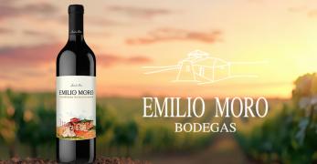 Vendimia Seleccionada – Die Seele Spaniens in einer Flasche