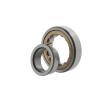 Foto Cylindrical roller bearings NJ2322  ECML/C3 10094896